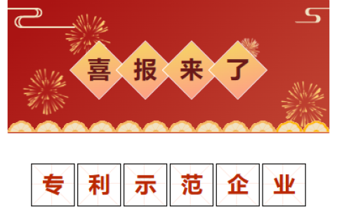 喜報(bào)！金華市專(zhuān)利示范企業(yè)！